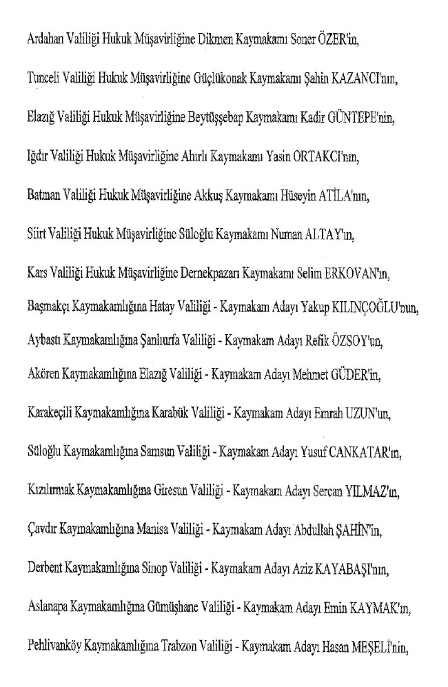 Valiler ve kaymakamlar kararnamesi ile atananlar tam liste 45
