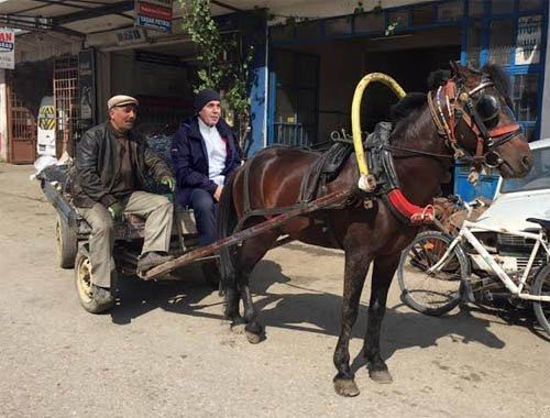 İşte Dursun Özbek capsleri 4