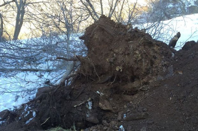 Hakkari'de terör operasyonu 11