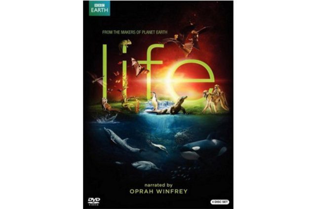 Tüm zamanların en iyi 50 dizisi 8