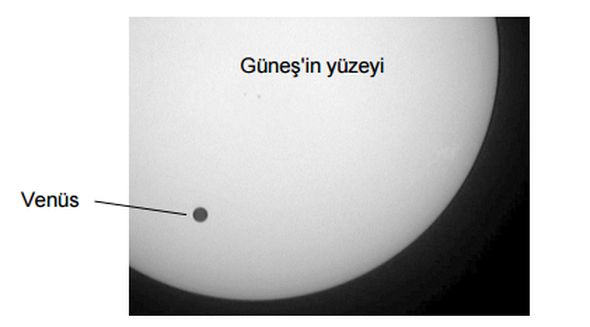 Bakalım PISA sorularını çözebilecek misiniz 4
