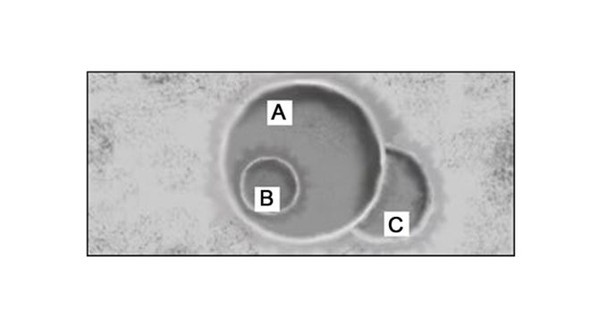 Bakalım PISA sorularını çözebilecek misiniz 9