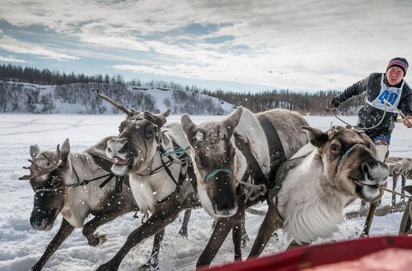 2016'ya damga vuran karaler 22