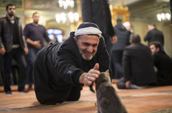 2016'ya damga vuran karaler 23