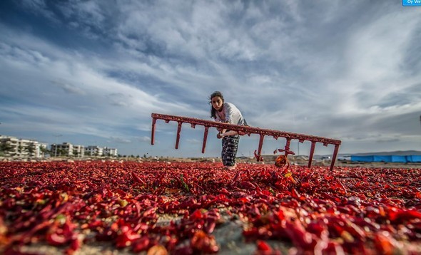 2016'ya damga vuran karaler 27