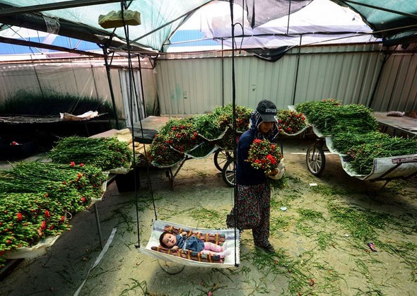 2016'ya damga vuran karaler 32