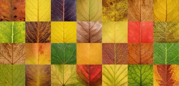 2016'ya damga vuran karaler 33