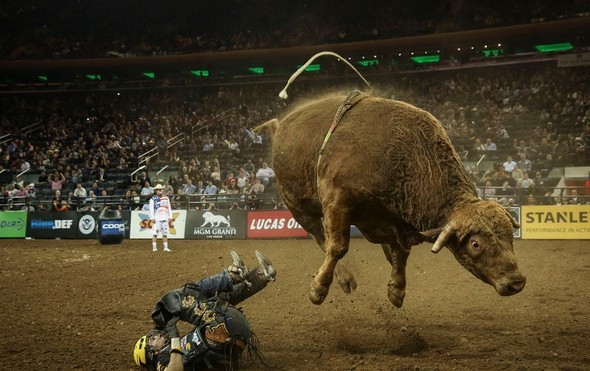 2016'ya damga vuran karaler 37