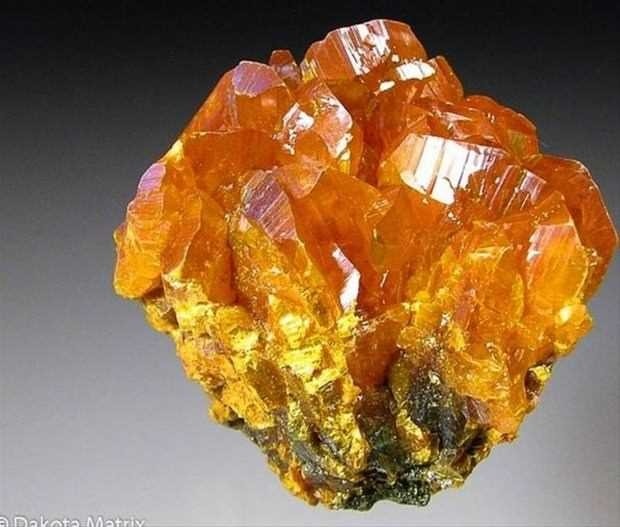 Bu taşa dokunmayın ölürsünüz! 14