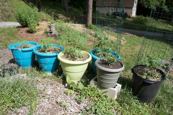 Bunu yapmanıza gerek yok! 16