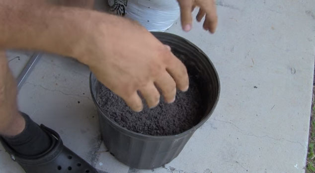 Bunu yapmanıza gerek yok! 24