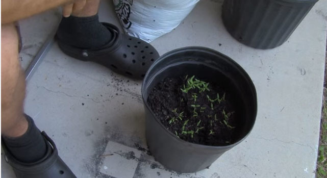 Bunu yapmanıza gerek yok! 25