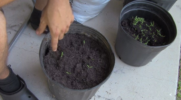 Bunu yapmanıza gerek yok! 26