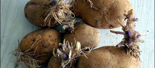 Bunu yapmanıza gerek yok! 36