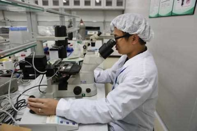 Sivri sinek fabrikası 1