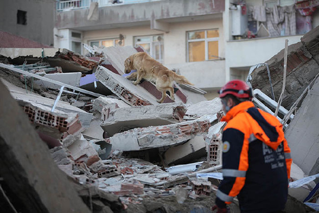 Facidan ilk görüntüler 3