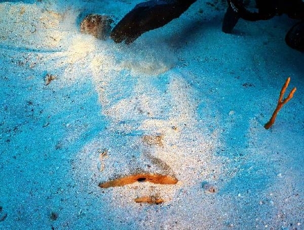 Türk tarihinin en büyük heykeli 10