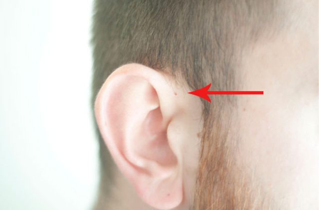 İnsan kulağının üzerinde yer alan delik nedir? 4