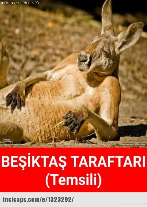 Galatasaray - Beşiktaş maçı sonrası capsler patladı! 13