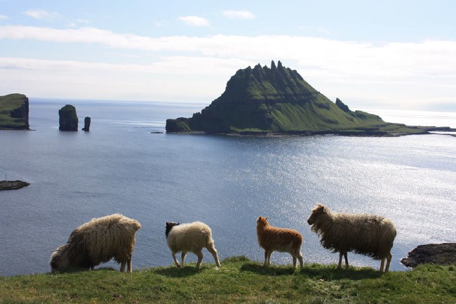 Hiçbir ülkenin istemediği kara parçaları 11