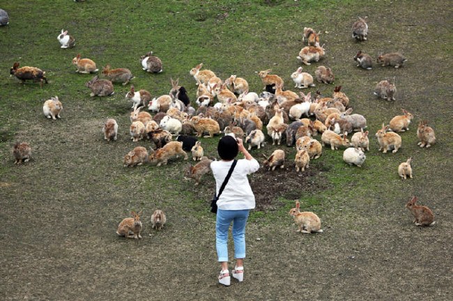 Hiçbir ülkenin istemediği kara parçaları 20