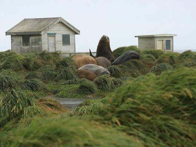 Hiçbir ülkenin istemediği kara parçaları 32