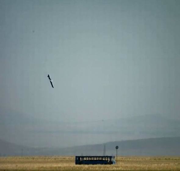 TSK'nın yerli gücü 33