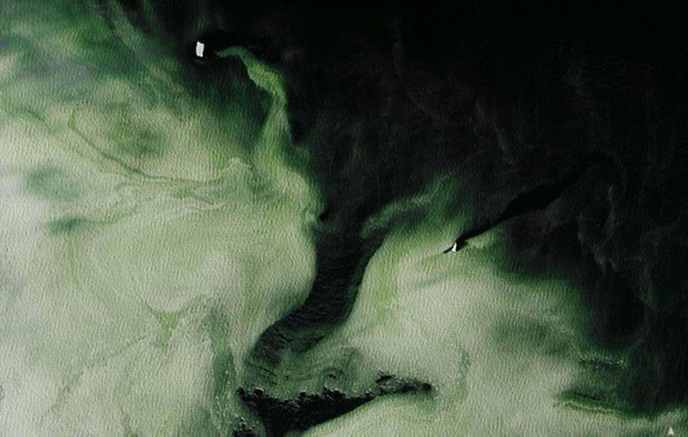 Antartika'daki yeşil buzulun gizemi 3