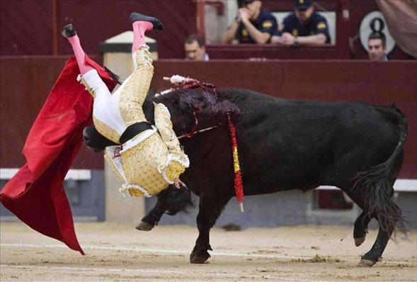 Matadorun gözünü böyle çıkardı 11