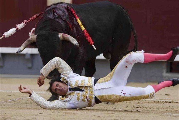 Matadorun gözünü böyle çıkardı 12