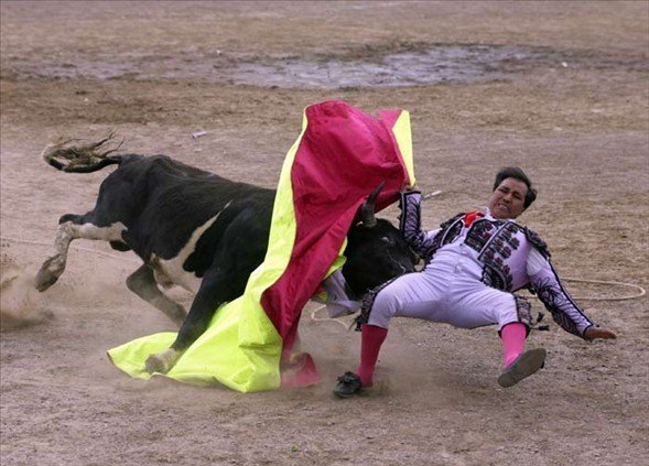 Matadorun gözünü böyle çıkardı 17