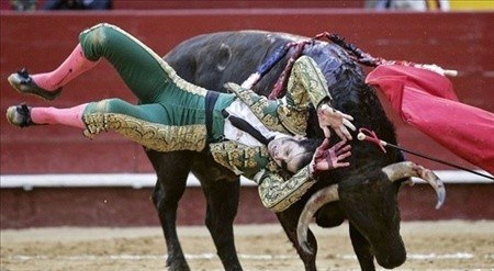 Matadorun gözünü böyle çıkardı 2