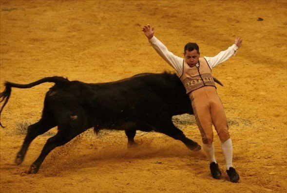 Matadorun gözünü böyle çıkardı 22