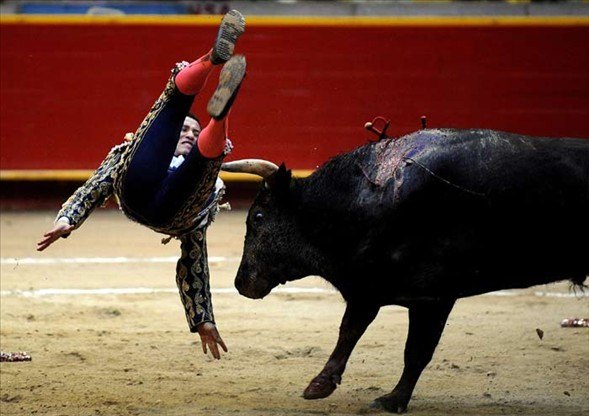 Matadorun gözünü böyle çıkardı 23