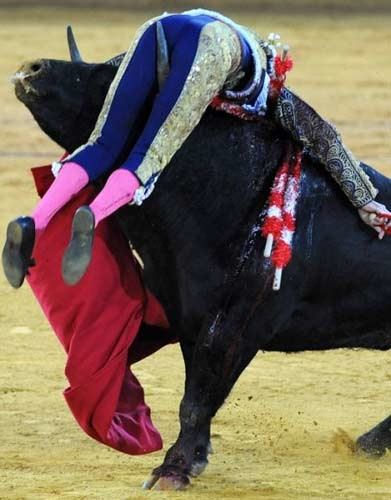 Matadorun gözünü böyle çıkardı 26