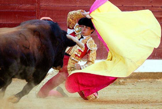 Matadorun gözünü böyle çıkardı 29