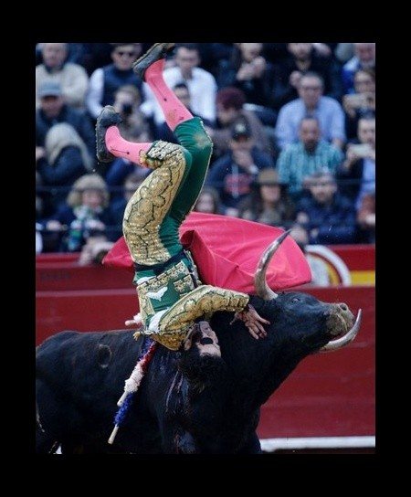 Matadorun gözünü böyle çıkardı 3