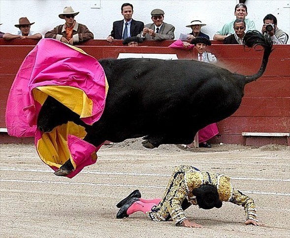 Matadorun gözünü böyle çıkardı 30