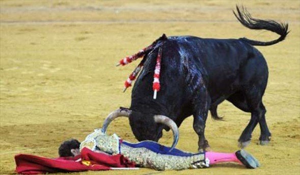 Matadorun gözünü böyle çıkardı 31