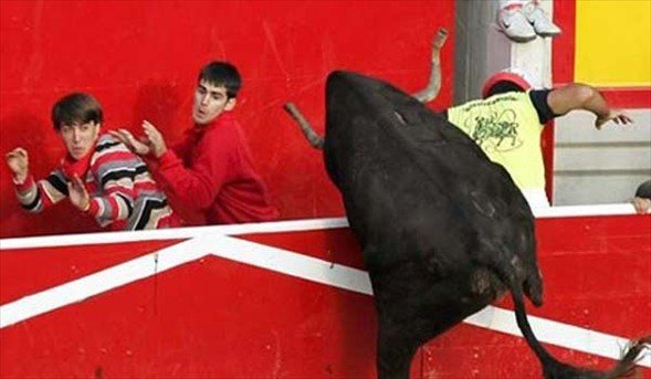 Matadorun gözünü böyle çıkardı 32