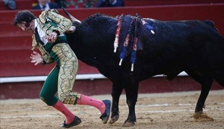 Matadorun gözünü böyle çıkardı 4