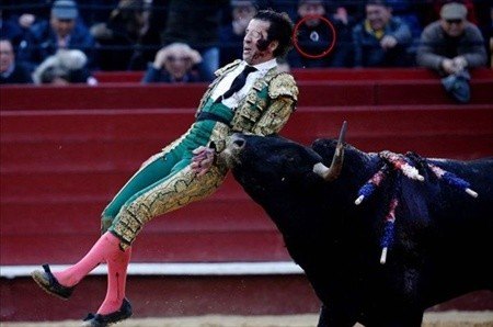 Matadorun gözünü böyle çıkardı 5