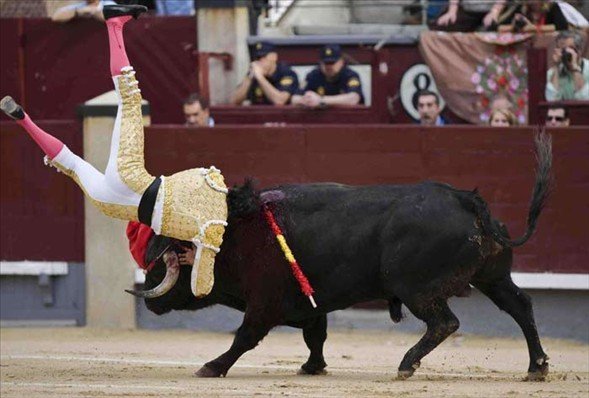 Matadorun gözünü böyle çıkardı 7