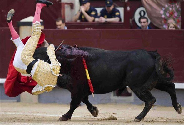 Matadorun gözünü böyle çıkardı 9
