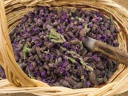 Türkiyede yetişen en şifalı 10 bitki 15