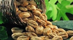 Türkiyede yetişen en şifalı 10 bitki 7