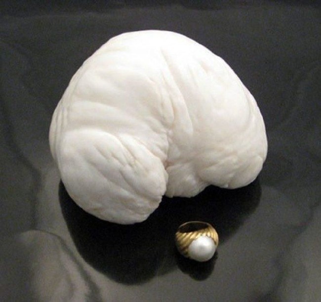 Takılabilen en değerli inci: Fiyatı dudak uçuklatıyor 10