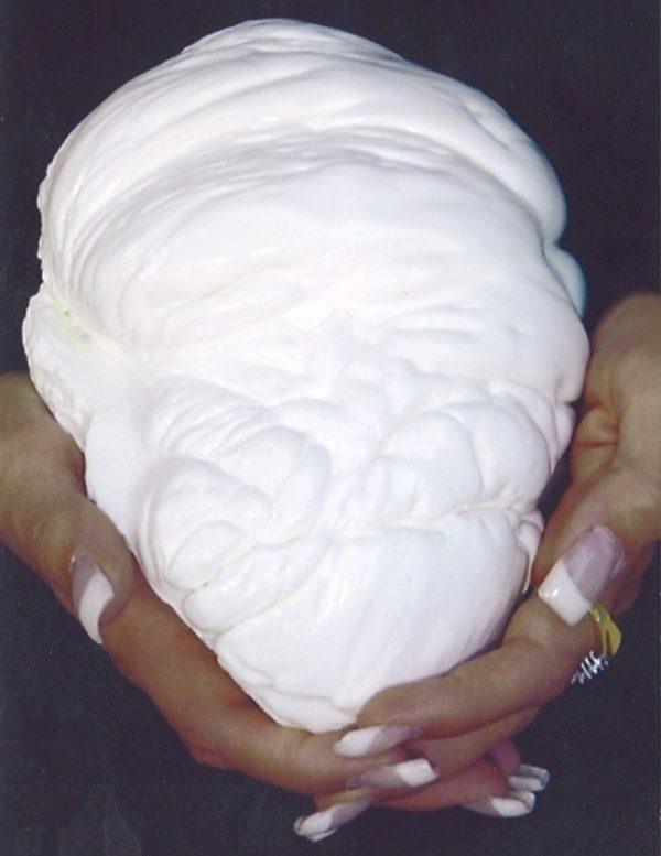 Takılabilen en değerli inci: Fiyatı dudak uçuklatıyor 9