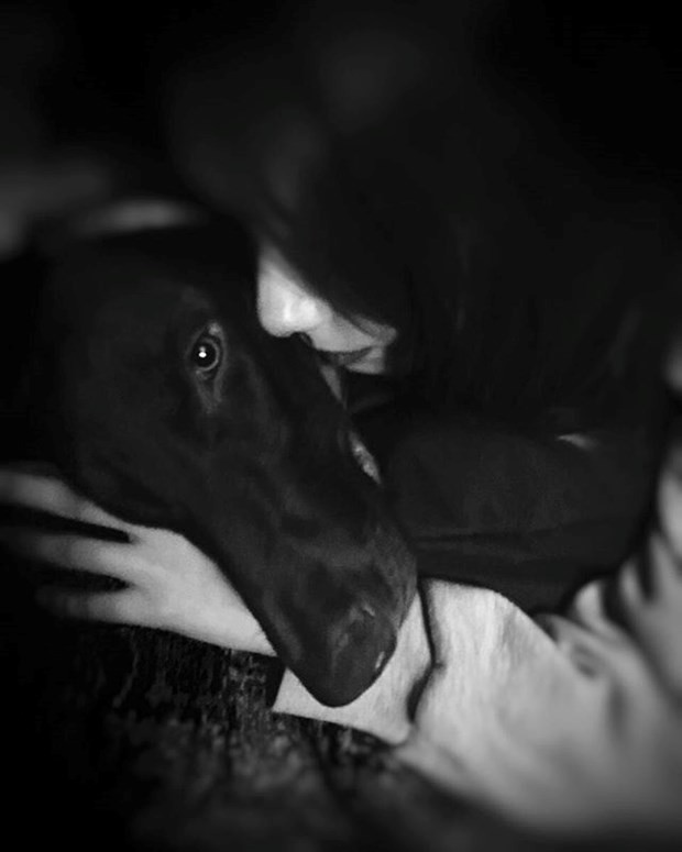 Ünlüler ve hayvanları 12