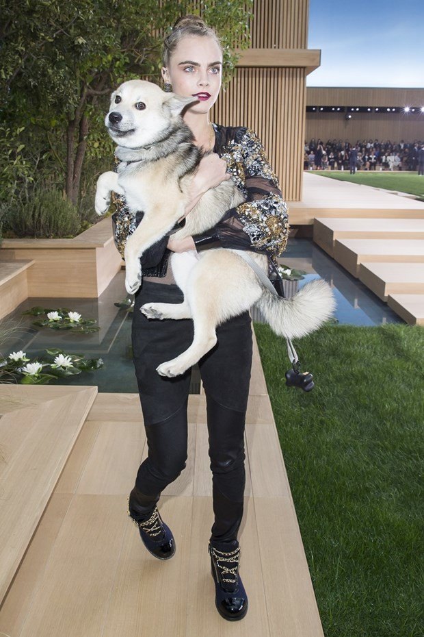 Ünlüler ve hayvanları 15